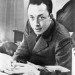 Albert Camus novelista frances
