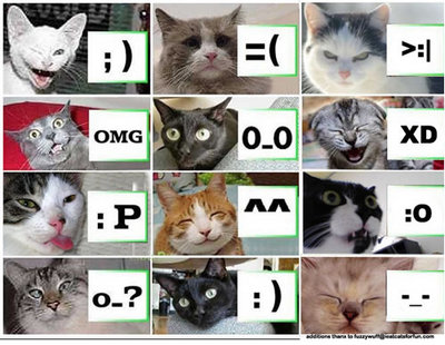 Emoticonos gatunos