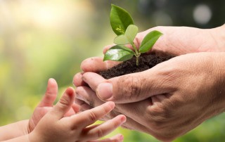 La importancia de dar