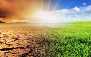 Mi esperanza está en ti