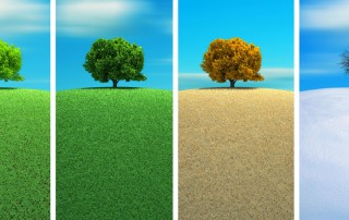 El ser humano ni se crea ni se destruye, sólo se transforma